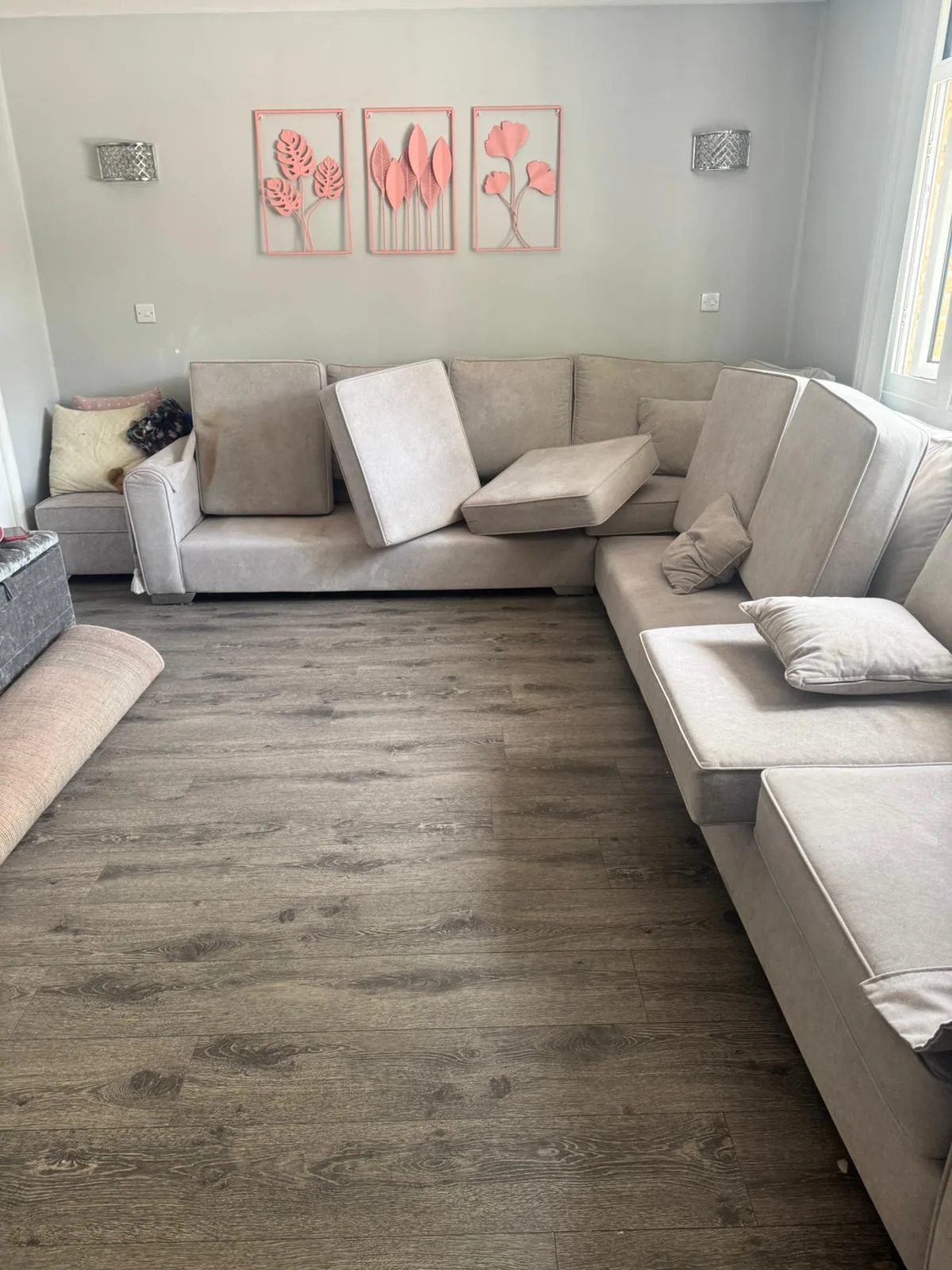 Before Appolo living-room carpet cleaning