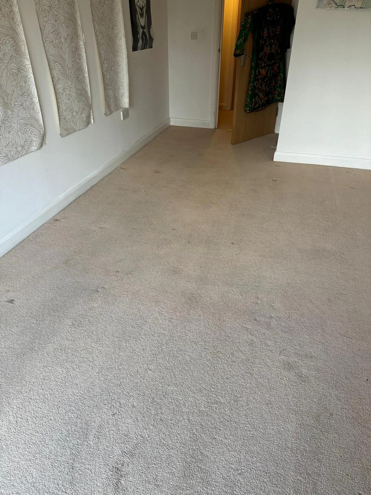 After Appolo carpet cleaning