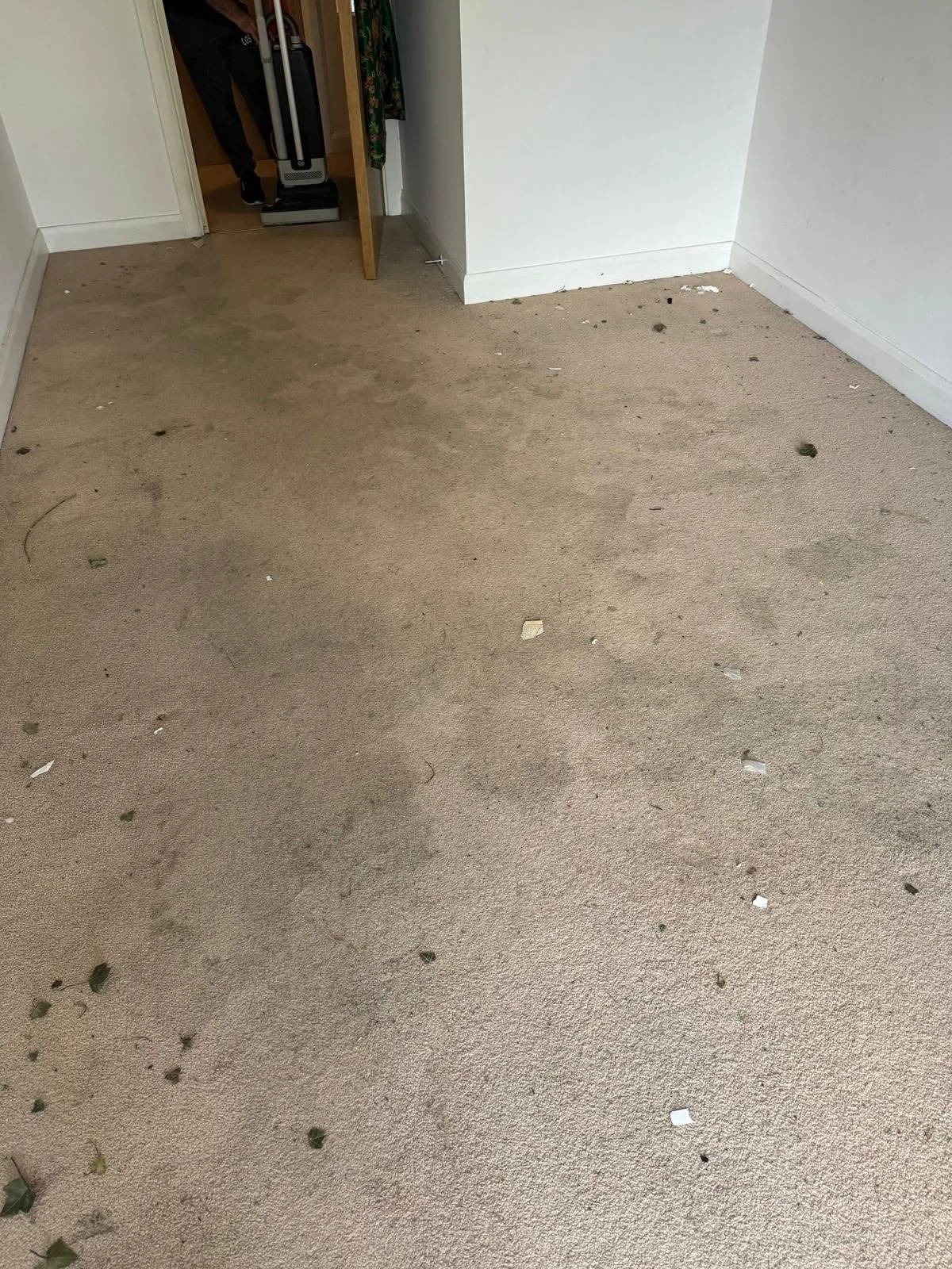 Before Appolo carpet cleaning
